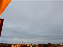 １２月６日　スッキリしない天気な月曜日、おはよ～♪