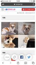 求む、目撃情報‼︎