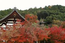 名刹の紅葉　前編（赤山禅院　永観堂）