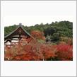 名刹の紅葉　前編（赤山禅院　永観堂）