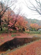 旨い蕎麦と紅葉