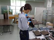 コピー商品と戦う！知的財産調査官