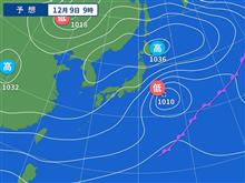 アメリカセンダングサ（キク科）の焼却など・・。