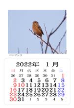 2022年のカレンダー 2022年のカレンダー