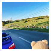 🐮🐮🐮🐮🐮🐮🐮 ...