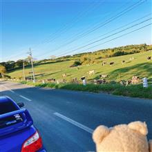 🐮🐮🐮🐮🐮🐮🐮🐮北海道　あるある