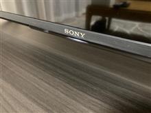 テレビ到着📺