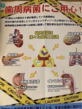 歯医者さんに行ってきた
