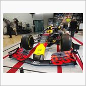 フェルスタッペン、ワールドチ ...