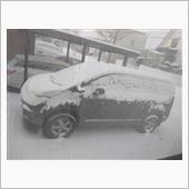あらぁ、また、、、雪だぁ・・ ...