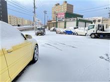 今朝のクルーズ 天気予報が的中！