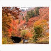 2021紅葉旅･Day4 六 ...