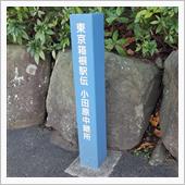 オッサン忘年ツアーin伊豆半島