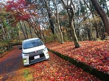 落ち葉&#215;VOXY