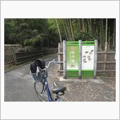 12/11 総持寺-竹の径- ...