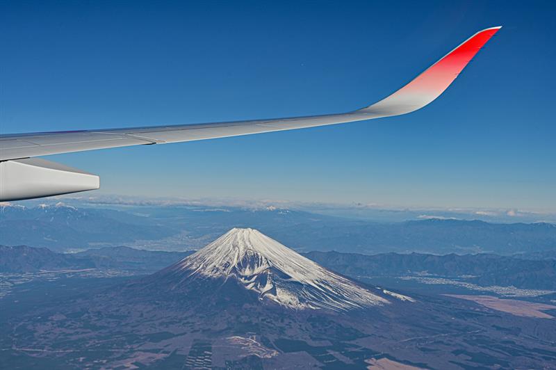 Amazon.co.jp: BEVLEDGE - 飛行機の窓整理ステーション - 最も