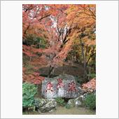 香嵐渓へ紅葉を見に
