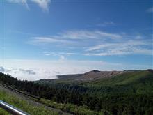 行くところが大体決まってしまった。