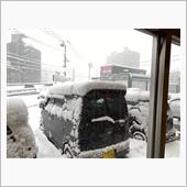 昨日までと打って変わって雪！