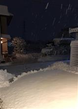 本格的な大雪。