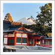 いつもの神社で 週末ウォーキング⛩🗻♫