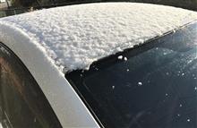 車に雪が積もってました