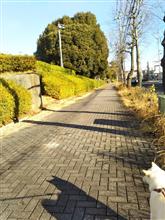 日本の歩道(道路)はきれいと、言われてます🎵 日本の歩道(道路)はきれいと、言われてます🎵