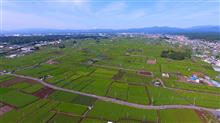 「入間野」市