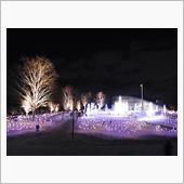 １２月１９日　雪で真っ白けな ...
