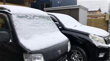 土曜日の朝の車達