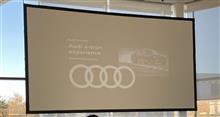Audi e-tron experience