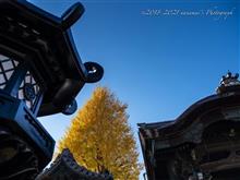 37リフレⅡ 〜Day4＜最終日＞ 六波羅蜜寺-光明院-三十三間堂-方広寺-豊国神社-東本願寺〜