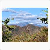 【西山最後の県道393号線⑦ ...
