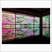 瑠璃光院