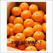 「箱買い」と「追加購入」☆