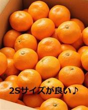 「箱買い」と「追加購入」☆