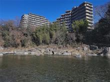 釜の淵公園（青梅）