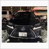 マイNXのうれしい誤算とそう ...