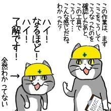 うれしい悲鳴!?ｗ