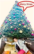 メリークリスマス🎄