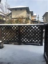 寒いです、、、