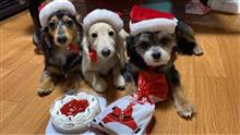 1日遅いクリスマスパーティー 1日遅いクリスマスパーティー