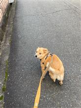 怒涛の12月 怒涛の12月