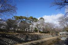 夙川でカワセミが！