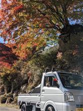 2021振り返り④NT100編