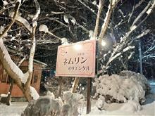 雪降る那須ネムリン 雪降る那須ネムリン
