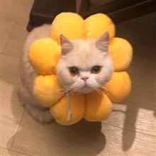 今年は残りわずかですが、キレイにしたいと思います。