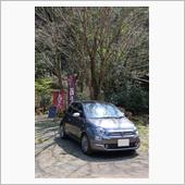 2021/3/27～28　平 ...