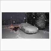 雪がどんどん～降ります！