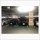 貴重な体験をしました！